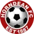 Horndean Football Team Results