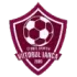 CS Viitorul Ianca Football Team Results