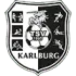 TSV Karlburg Football Team Results