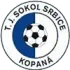 TJ Sokol Srbice Football Team Results
