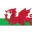 Wales U21 Football Team Results