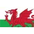 Wales U21