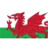 Wales U21 Football Team Results