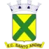 Santo Andre SP Football Team Results
