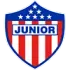 Junior Football Team Results