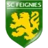 Feignies Aulnoye FC Football Team Results