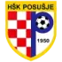 NK Posusje Football Team Results