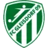 FC Gleisdorf 09 Football Team Results