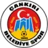 Cankiri Bld Football Team Results