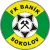 Banik Sokolov