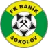 Banik Sokolov Football Team Results