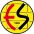 Eskisehirspor Football Team Results