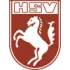 Hammer SPVG Football Team Results