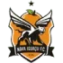 Nova Iguacu Football Team Results