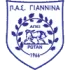 Giannina Football Team Results