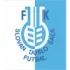 Slovan Duslo Šala Football Team Results
