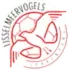IJsselmeervogels Football Team Results