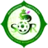 Romorantin Football Team Results