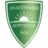 Anagennisi FC Deryneia Football Team Results