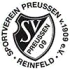 SV Preussen 09 Reinfeld Football Team Results