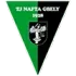 TJ Nafta Gbely Football Team Results