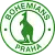 Bohemians 1905 B