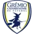 Gremio Catanduvense Football Team Results