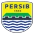 Persib Bandung U20 Football Team Results