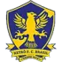 Retro FC Brasil Football Team Results