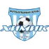 Khimik Koryazhma Football Team Results