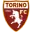 Torino U19 Football Team Results