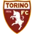 Torino U19 Football Team Results