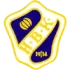 Halmstads U21 Football Team Results