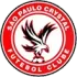 Sao Paulo Crystal FC Football Team Results