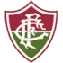 Fluminense PI U20 Football Team Results