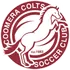 Coomera Football Team Results