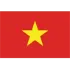 Vietnam Football Team Results