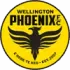 Wellington Phoenix Football Team Results