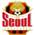 FC Seoul Football Team Results