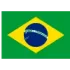 Brazil Women Football Team Results