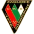 Zaglebie Sosnowiec Football Team Results