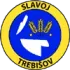 Slavoj Trebisov Football Team Results