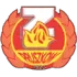 Znicz Pruszków Football Team Results