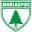 Muglaspor Football Team Results