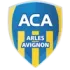 Arles Football Team Results