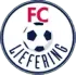 FC Liefering Football Team Results
