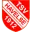 TSV Havelse Football Team Results
