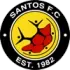 Santos Cape Town Football Team Results