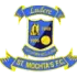 St Mochtas Football Team Results