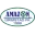 Amazon Grimstad Women Football Team Results